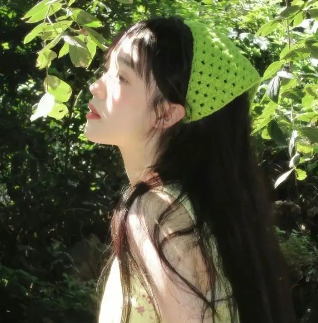 披着狼皮的羊